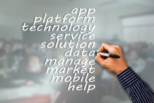 爱游互娱游戏官网-中国篮球赛事品牌建设与市场营销分析,篮球品牌市场占有率