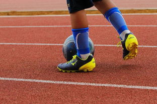 爱游戏官网-明星球员带动体育产业发展,打造体育明星的弊端